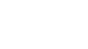 Intelo Training - Intelligence Training
